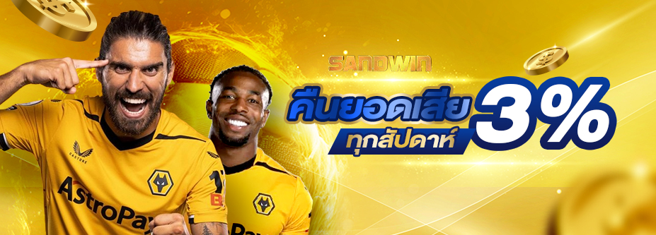 คืนยอดเสีย 3%